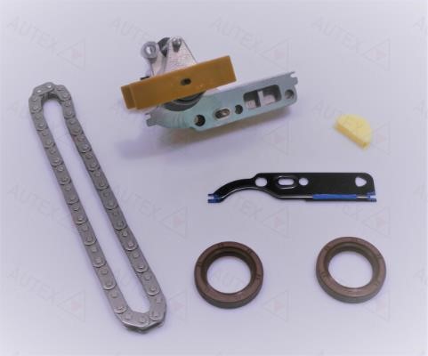 Autex 711309 Timing chain kit 711309