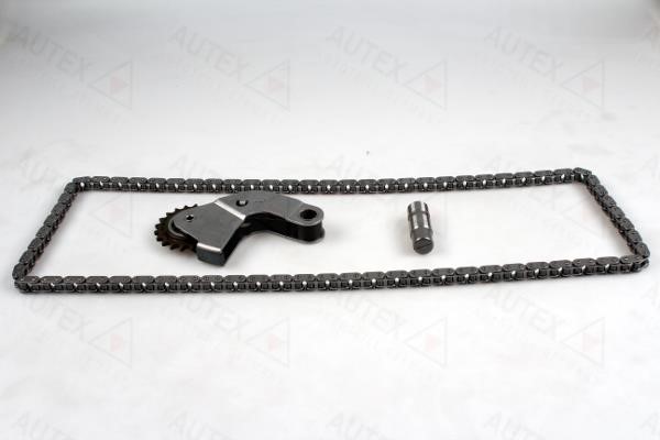 Autex 711312 Timing chain kit 711312