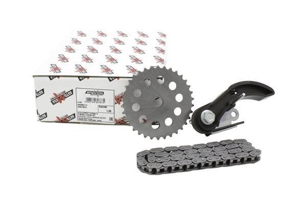 AutoMega 250965110 Timing chain kit 250965110