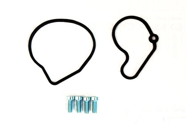 91114 Hoffer Repair Set, vacuum pump (braking system)
