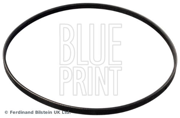 Blue Print AD03R872 V-Ribbed Belt AD03R872