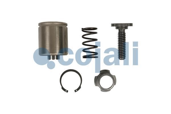 Cojali 6085018 Repair Kit, brake caliper 6085018
