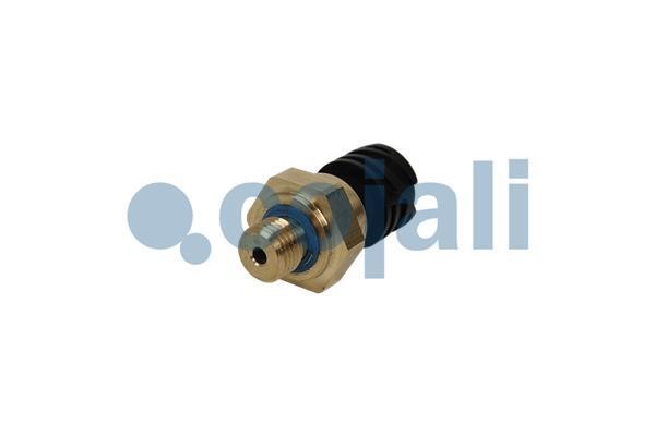 Buy Cojali 2262032 at a low price in United Arab Emirates!