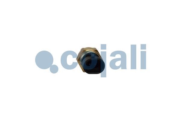 Buy Cojali 2262054 at a low price in United Arab Emirates!