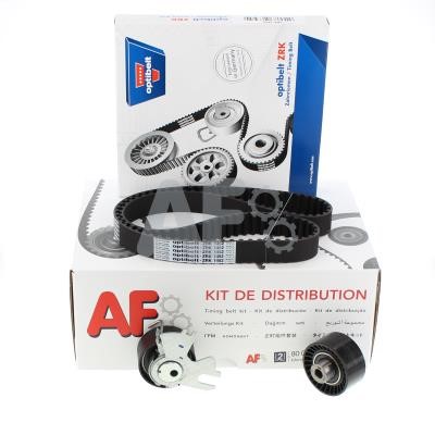 Automotor France PTK31T5 Timing Belt Kit PTK31T5