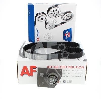 Automotor France PTK7048 Timing Belt Kit PTK7048