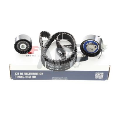 Automotor France GTK31R9 Timing Belt Kit GTK31R9