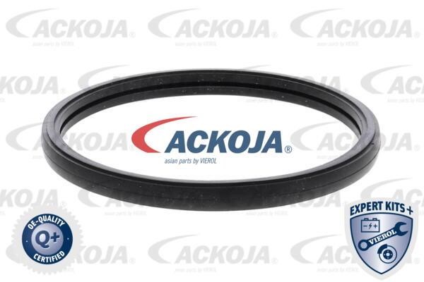 Buy Ackoja A52-99-0026 at a low price in United Arab Emirates!