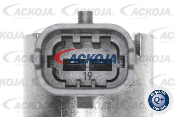 Buy Ackoja A52-25-0005 at a low price in United Arab Emirates!