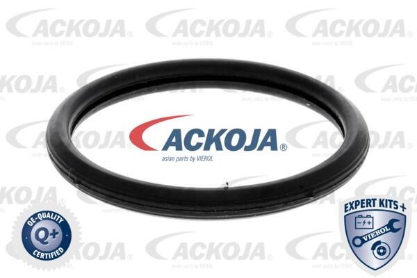 Buy Ackoja A38-99-0006 at a low price in United Arab Emirates!