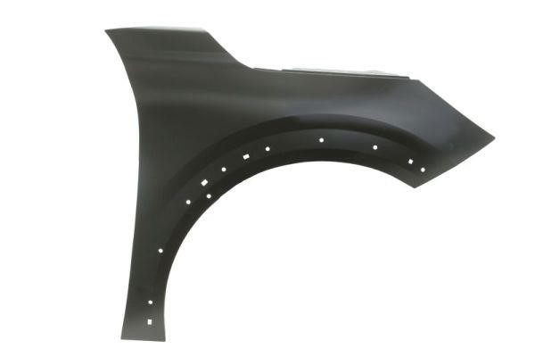 Front wing fender Peugeot: 6504045509314PP Blic Wing