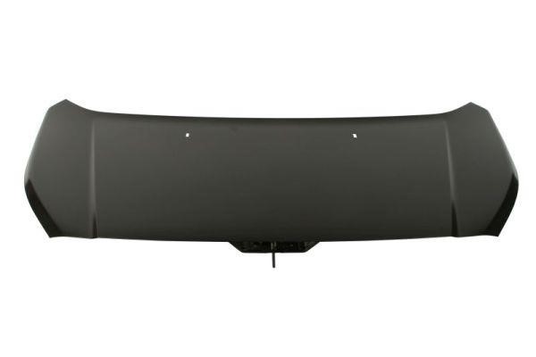 6803002508280P Blic Hood