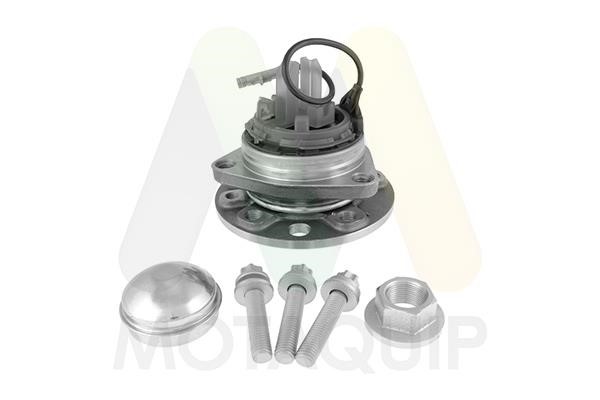 Motorquip LVBW1317 Wheel bearing kit LVBW1317