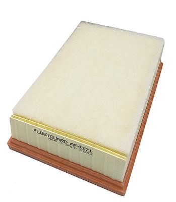 Fleetguard AF4371 Air filter AF4371