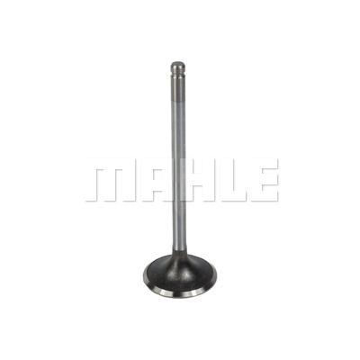 Mahle/Metal Leve VA0510029 Intake valve VA0510029