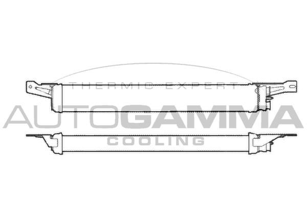 Autogamma 101524 Oil Cooler, engine oil 101524