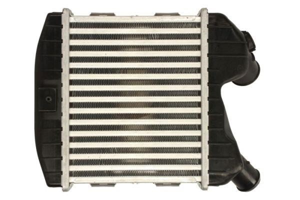 Buy Thermotec DAM031TT at a low price in United Arab Emirates!