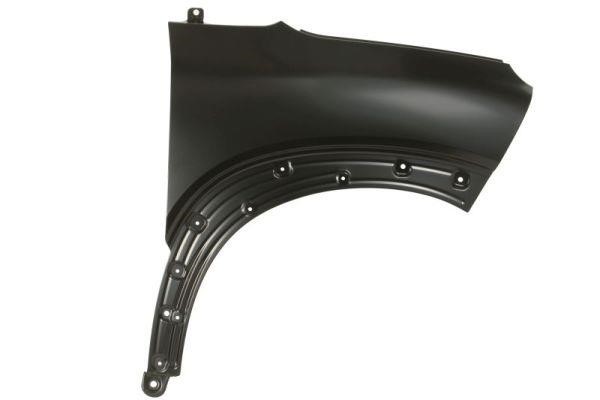 Front fender Citroen C3: 6504040532316P Blic Front fender