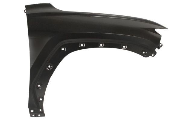 Front fender Hyundai Tucson: 6504043187312P Blic Wing
