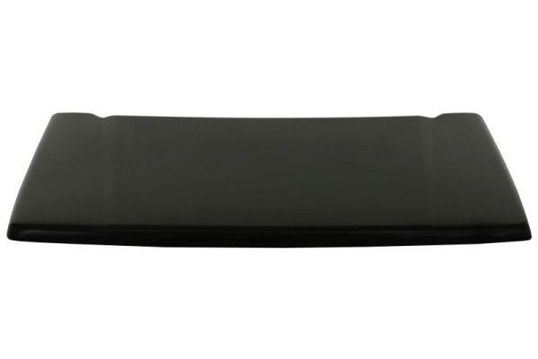 6803006843280P Blic Hood