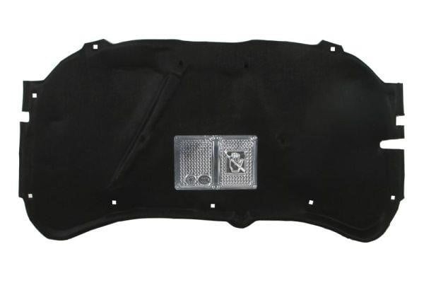 6804009543290P Blic Noise isolation under the hood