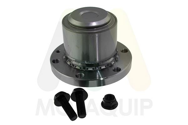 Motorquip LVBW1801 Wheel bearing kit LVBW1801