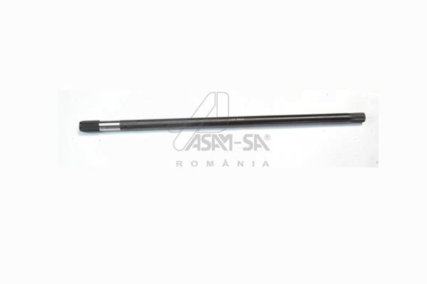 ASAM 30276 Joint, drive shaft 30276