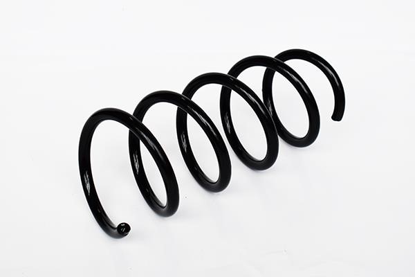 ASAM 74745 Suspension spring front 74745