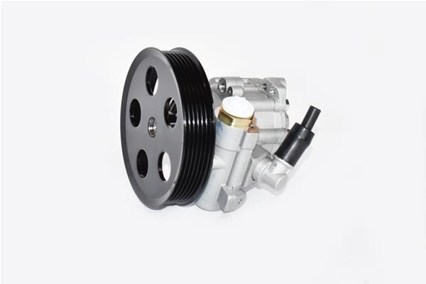 ASAM 99393 Hydraulic Pump, steering system 99393