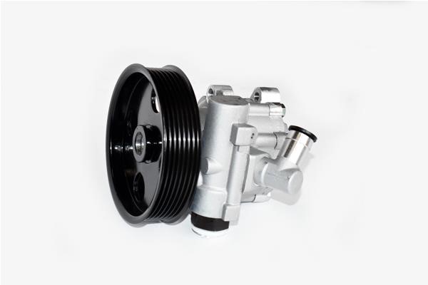 ASAM 99396 Hydraulic Pump, steering system 99396