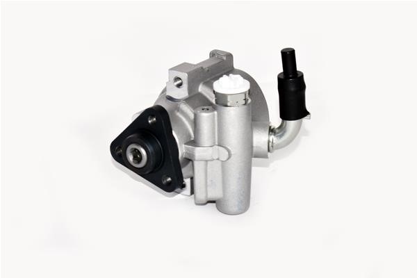 ASAM 99404 Hydraulic Pump, steering system 99404