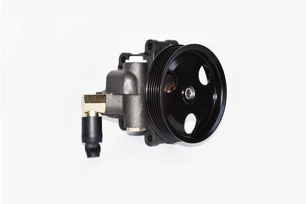 ASAM 99406 Hydraulic Pump, steering system 99406