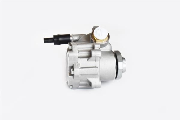 ASAM 99407 Hydraulic Pump, steering system 99407
