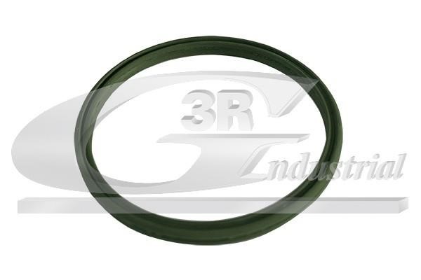 3RG 85793 O-ring 85793 85793 3RG O-ring