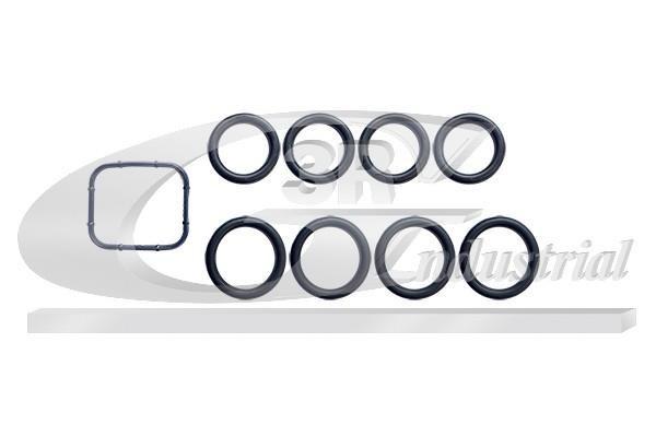 86250 3RG Intake manifold gasket, kit
