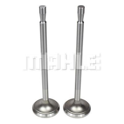 Mahle/Metal Leve VA0110140 Intake valve VA0110140