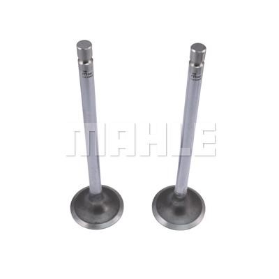 Mahle/Metal Leve VA0210442 Intake valve VA0210442