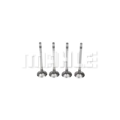 Mahle/Metal Leve VA0701558 Intake valve VA0701558