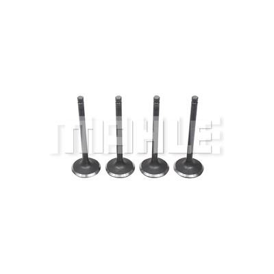 Mahle/Metal Leve VA0720154 Intake valve VA0720154