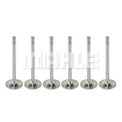 Mahle/Metal Leve VA0760013 Intake valve VA0760013