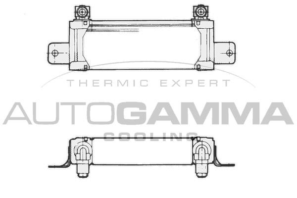 Autogamma 101518 Oil Cooler, engine oil 101518