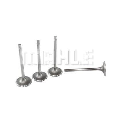Mahle/Metal Leve VA0110145 Intake valve VA0110145