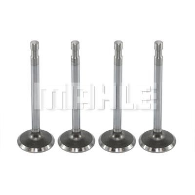 Mahle/Metal Leve VA0590043 Intake valve VA0590043