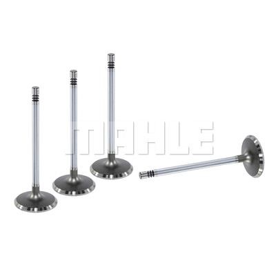 Mahle/Metal Leve VA0141396 Intake valve VA0141396