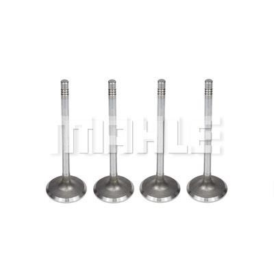 Mahle/Metal Leve VA0141431 Intake valve VA0141431