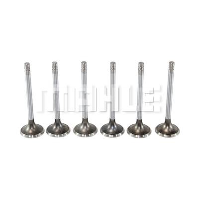 Mahle/Metal Leve VA0180124 Intake valve VA0180124