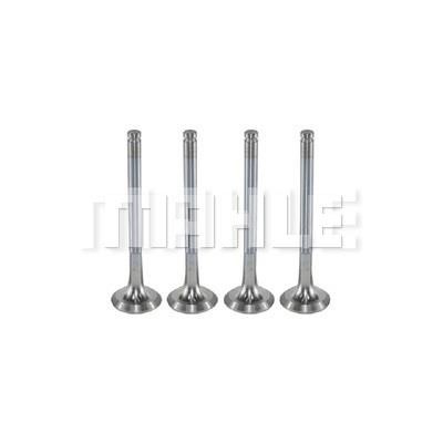 Mahle/Metal Leve VE0250053 Exhaust valve VE0250053