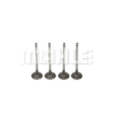Mahle/Metal Leve VA0441701 Intake valve VA0441701