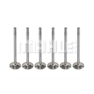 Mahle/Metal Leve VA0480244 Intake valve VA0480244