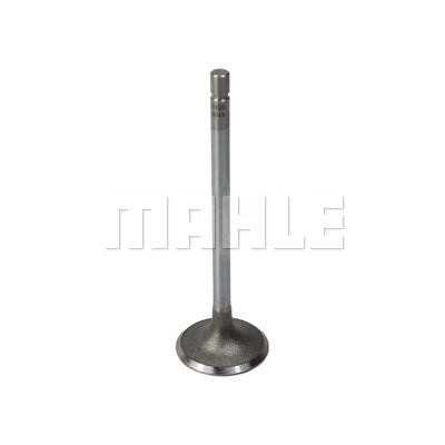 Mahle/Metal Leve VA0510045 Intake valve VA0510045